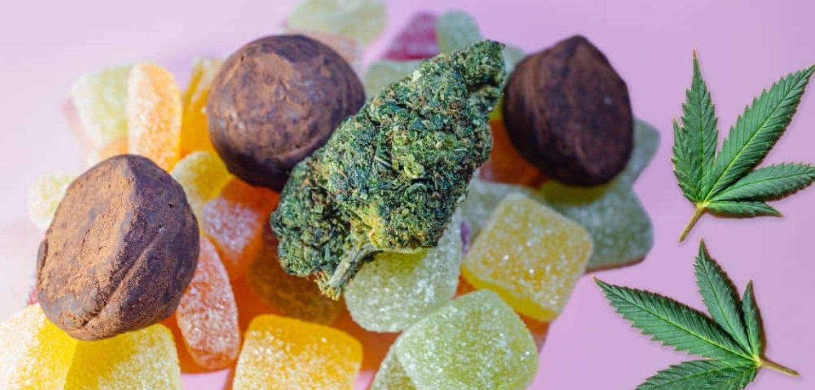 Gastronomic Highs Crafting the Perfect THC Edibles